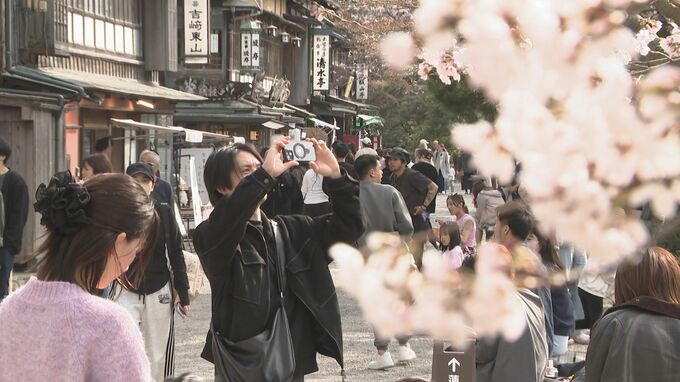 観桜期の兼六園 1日平均4万6千人入園 天候に恵まれ去年より2割増|TBS NEWS DIG