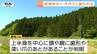 異常事態…今月に入り少なくとも3人がクマに襲われる　酒田市で遭難した男性はクマに襲われ死亡したか　連日クマの出没相次ぐ　（山形）　|　山形のニュース│TUYテレビユー山形