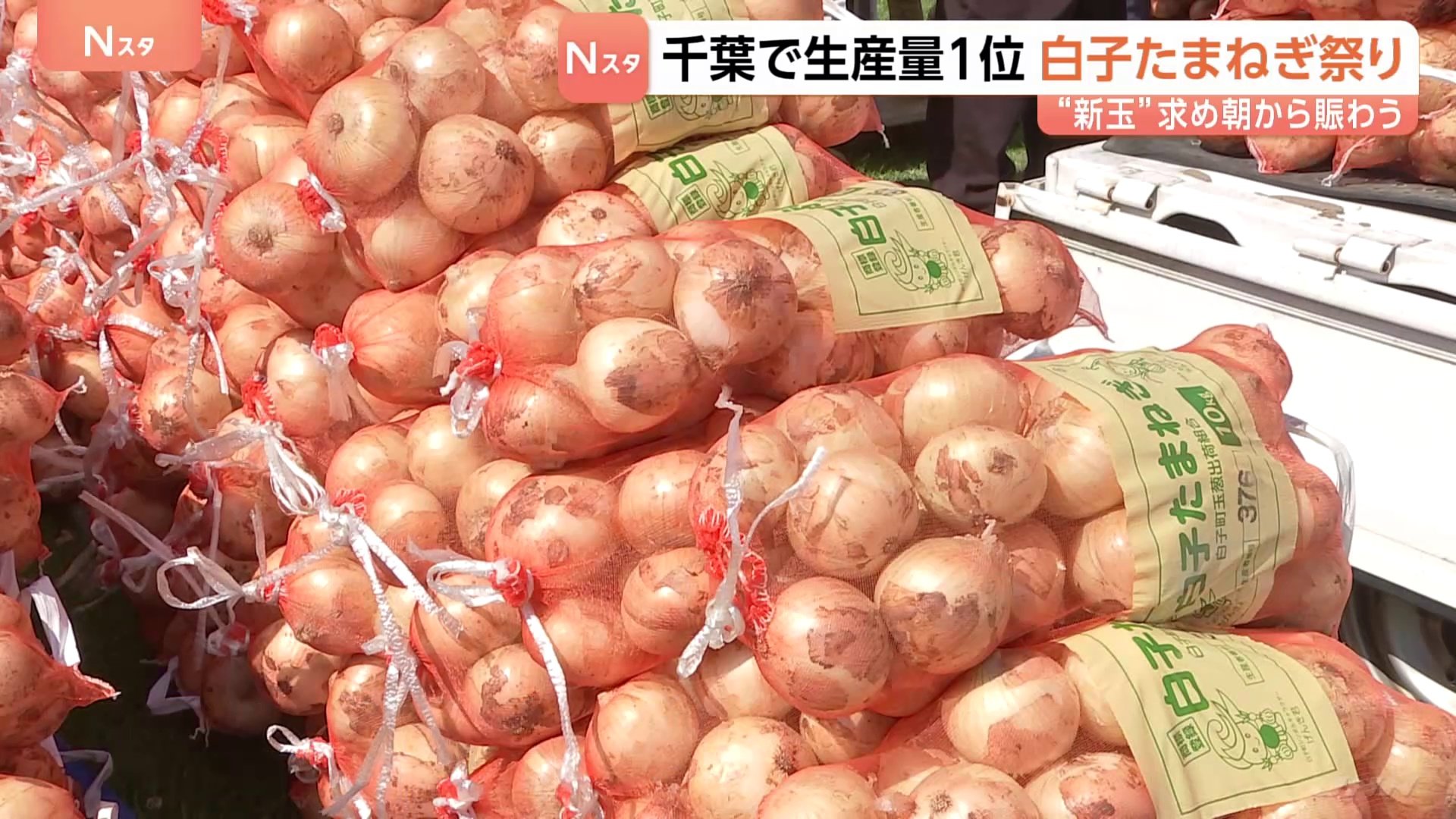 人気の新玉ねぎ10キロ2000円 千葉・白子町で“たまねぎ祭り” 「全然違い