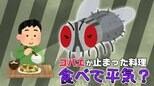 「コバエが、料理に一瞬だけ止まってしまった!」その料理、衛生的に大丈夫?専門家に聞いた|TBS NEWS DIG