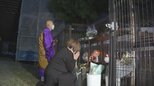 関越道バス事故から14年　事故の記憶風化しないよう「思い出してもらう大切な機会」|TBS NEWS DIG