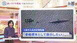 放置すると“破裂”?死んだ迷いクジラ「ヨドちゃん」、今後どうする?「骨格標本」になる可能性も|TBS NEWS DIG
