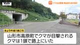 クマ出没警報の再度延長も検討...県内では住宅街や民家付近でクマ目撃相次ぐ（山形）|TBS NEWS DIG