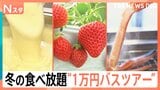 食べ放題＆詰め放題満載！超お得！！女性の参加率が高い日帰りバスツアーを調査【それスタ】|TBS NEWS DIG