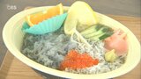 「衝撃のおいしさ」シラス漁最盛期 人気飲食店で行列も 大分・佐伯市 | 大分のニュース|OBS NEWS|大分放送