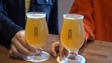 「ビールを飲みながら、皆で楽しく過ごせる空間を提供していきたい」移住夫婦が思いを込めて…　幡多地域初のクラフトビール醸造所　|　高知のニュース・天気｜KUTV NEWS | KUTVテレビ高知