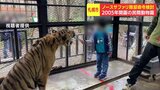 “日本一危険な動物園”で知られる民間動物園 無許可で施設を建設して20年 札幌市が繰り返し指導するも是正されず、事実上の“閉園命令”検討へ | 北海道のニュース|HBC北海道放送