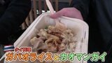 「現金使われへんってどういうことやねん!」大阪・関西万博 初日のみなさんの満足度を聞いたみた「感動」の声ある一方で… | 名古屋・愛知・岐阜・三重のニュース【CBC news】 | CBC web