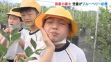 「あまっ!すっぱくておいしい」児童がブルーベリー収穫体験 富山市などで30℃以上の真夏日 | 富山のニュース|天気・防災|チューリップテレビ