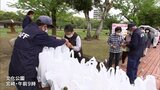みどりの日 宮崎市で花の苗を無料配布|TBS NEWS DIG