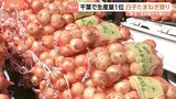 人気の新玉ねぎ10キロ2000円　千葉・白子町で“たまねぎ祭り” 「全然違いますね味が」辛み少なく濃厚な甘さが特徴|TBS NEWS DIG