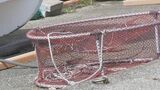 「サザエ漁をしていて溺れている」高齢の海女2人が溺れて死亡 福井・坂井市|TBS NEWS DIG
