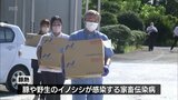 家畜伝染病の豚熱 宮崎県内で豚熱ワクチンの初回接種が開始|TBS NEWS DIG