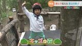 「何の巣やろ?」遊びながら自然を学ぶ・・・“里山保全”にもつながる『キッズの森』|TBS NEWS DIG