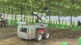 AI搭載の多機能ロボット　ブドウ畑で摘粒作業を実演　2030年度の実用化目指す　山梨|TBS NEWS DIG