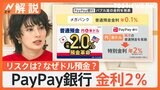 申し込み数40倍！ PayPay銀行「円とドルを両方預金」で金利2％、リスクは? なぜドル預金？【Nスタ解説】|TBS NEWS DIG