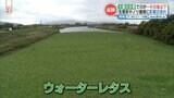 川の水面を埋めつくしていたウォーターレタス 『10トンダンプカー1000台分で除去』しかし… | 熊本のニュース|RKK NEWS|RKK熊本放送