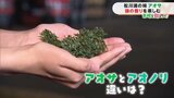 今が旬!アオサとアオノリ、何が違う?【市場で旬みっけ!】|TBS NEWS DIG