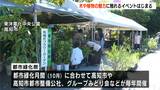 「木や植物のあたたかさや癒やしに触れて」高知市で都市緑化祭はじまる【高知】 | 高知のニュース・天気|KUTV NEWS | KUTVテレビ高知