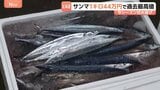 流し網漁のサンマ初水揚げ　過去最高値「1キロ44万円」で去年の1キロ25万円を大きく上回る　北海道・釧路港|TBS NEWS DIG