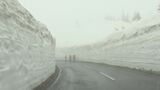 「雪の回廊」高さは約5メートル!志賀草津高原ルートが開通 群馬県側の一部区間は雪崩のため通行止め|TBS NEWS DIG