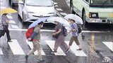11日夜にかけて大雨に注意警戒 24時間雨量で最大80ミリの津軽は警報級になる可能性も|TBS NEWS DIG