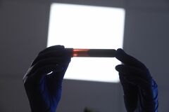 富士レビオのアルツハイマー症検査薬、米国で６月下旬から利用可能に| TBS CROSS DIG with Bloomberg