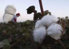 トランプ新関税案、強制労働でなぜ日本も対象なのか－米国の論拠とは| TBS CROSS DIG with Bloomberg
