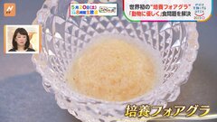 フォアグラが“300円程”で食べられるように？　世界初“細胞培養”のフォアグラに、ゲノム編集マダイまで！最先端・食の現場に迫る【SDGs】| TBS CROSS DIG with Bloomberg