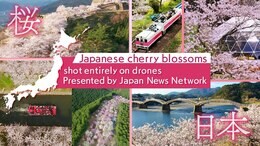 JNN sakura ドローン DIG総集編 ~日本中の桜の映像を1時間に凝縮!|TBS NEWS DIG