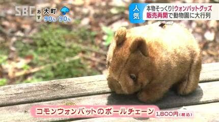 1年2か月ぶりの販売再開に長い列 クリっとした目が大人気！ 茶臼山