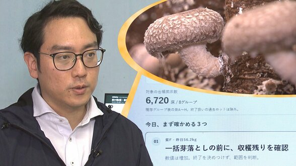 AIを活用し、シイタケ栽培に取り組む紫波町の企業を紹介 どのように生かしているのか?味は?収穫量は? 岩手 | IBC NEWS | IBC岩手放送