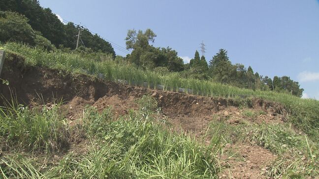 台風10号　収穫前の堂面棚田で被害　国の「つなぐ棚田遺産」認定　大分・別府市|TBS NEWS DIG