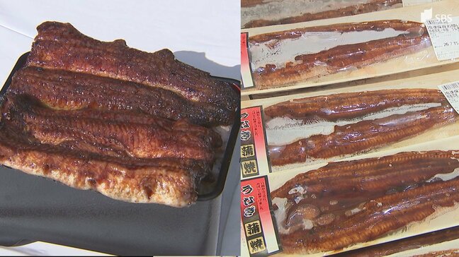 今年のウナギは安い! スーパーでは中国産のウナギが1000円を切る店も 国産の浜名湖のウナギは「でしこ」で勝負=静岡|TBS NEWS DIG