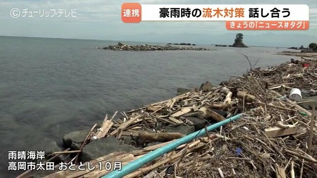梅雨を前に富山県が流木対策会議 奥能登豪雨での流木 樹木伐採などの取り組みを報告|TBS NEWS DIG