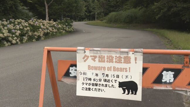 花火大会で前代未聞のクマ対策 打ち上げ場所周辺で目撃相次ぐ… 近づいてこないよう花火師が爆竹を鳴らすなど警戒 岐阜・高山市|TBS NEWS DIG
