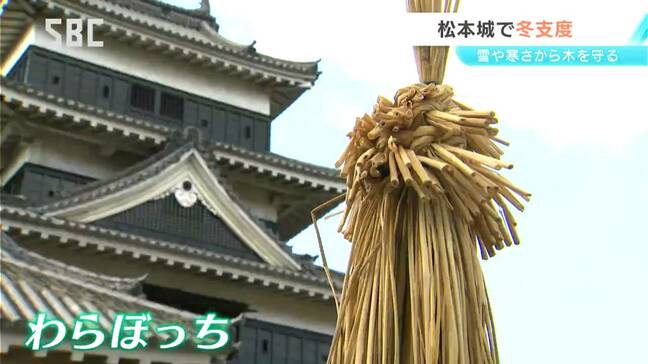 国宝松本城で恒例の「冬囲い」　ワラで編まれた「わらぼっち」をボタンにかぶせる　長野|TBS NEWS DIG