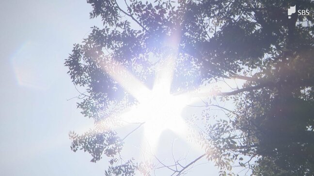 4月に30℃超えも...「春の熱中症」どう防ぐ？ キーワードは「暑さに慣れること」 ドラッグストアには早くも対策グッズがズラリ=静岡|TBS NEWS DIG