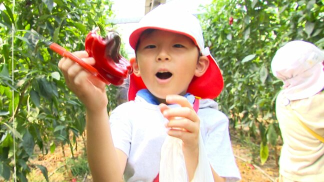 苦手な子どもも多い「ピーマン」、"オムレツ"や"カレー"など様々なアレンジ料理を食べた園児は「おいしかった!」収穫体験で"食"を学ぶ|TBS NEWS DIG