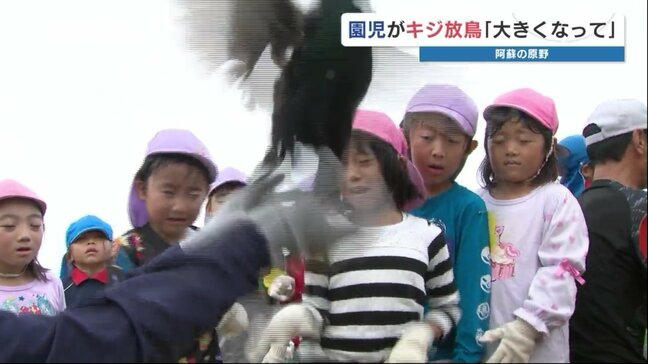 園児がキジ放つ「せーの うおー！」　熊本県西原村|TBS NEWS DIG
