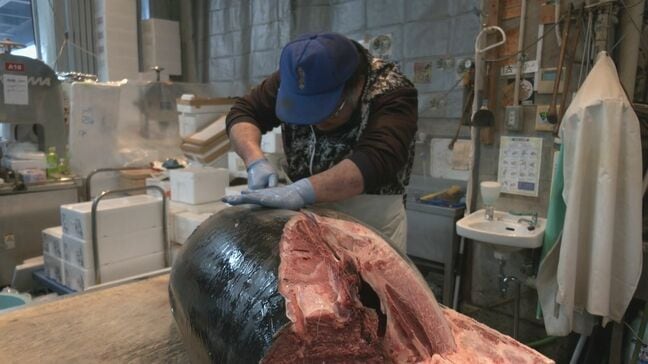 卸売市場で本マグロの大サービス ことし最後の一般開放で｢正月に向けて、いい食材あれば｣ 年末年始の大売り出し 愛知･豊田市|TBS NEWS DIG