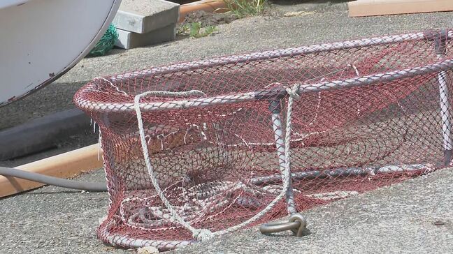 「サザエ漁をしていて溺れている」高齢の海女２人が溺れて死亡 福井・坂井市|TBS NEWS DIG