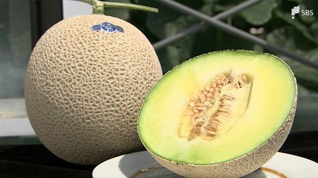 「高すぎて手が出せないとなってしまうのは怖い」現場は戦々恐々…『トランプショック』で海外輸出に不安の声【静岡】|TBS NEWS DIG