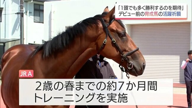 競走馬としてデビューを目指す「育成馬」の活躍と安全を祈願　JRA宮崎育成牧場で神事|TBS NEWS DIG