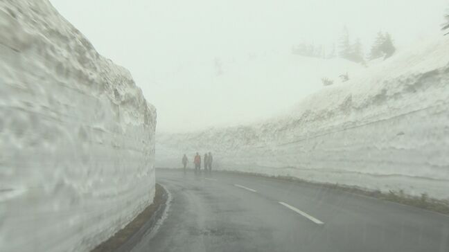 「雪の回廊」高さは約5メートル！志賀草津高原ルートが開通　群馬県側の一部区間は雪崩のため通行止め|TBS NEWS DIG