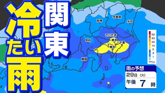 【東京 神奈川 埼玉 千葉 群馬 栃木 茨城】関東 本降り 冷たい雨に【関東の雨シミュレーション今夜～30日正午】|TBS NEWS DIG