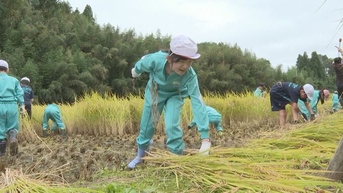 「苦労して作るからこそ、おいしいお米ができるんだな」小学生が稲刈り体験　春には田植え、農家の仕事学ぶ　福島|TBS NEWS DIG
