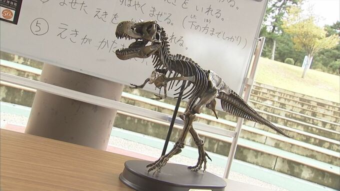 ティラノサウルスの”爪”…化石のレプリカ作りに挑戦　鳥取県鳥取市　|　BSSニュース | BSS山陰放送