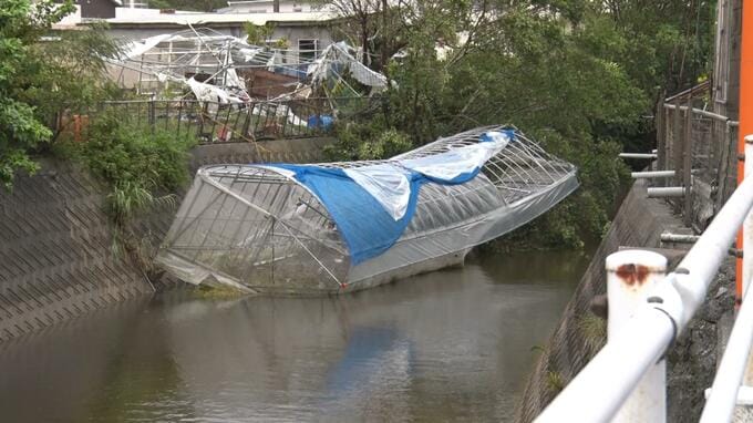 農林水産業の被害8億円余り　台風13号 |TBS NEWS DIG
