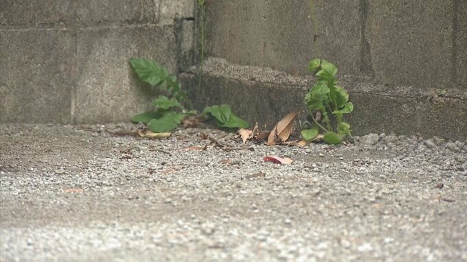 【速報】車内で"熱中症" 生後11か月の男児が死亡　母親「家事や仕事に気を取られて」　熱中症警戒アラート発表中 32.5℃まで気温上がる　熊本市　|　熊本のニュース｜RKK NEWS｜RKK熊本放送